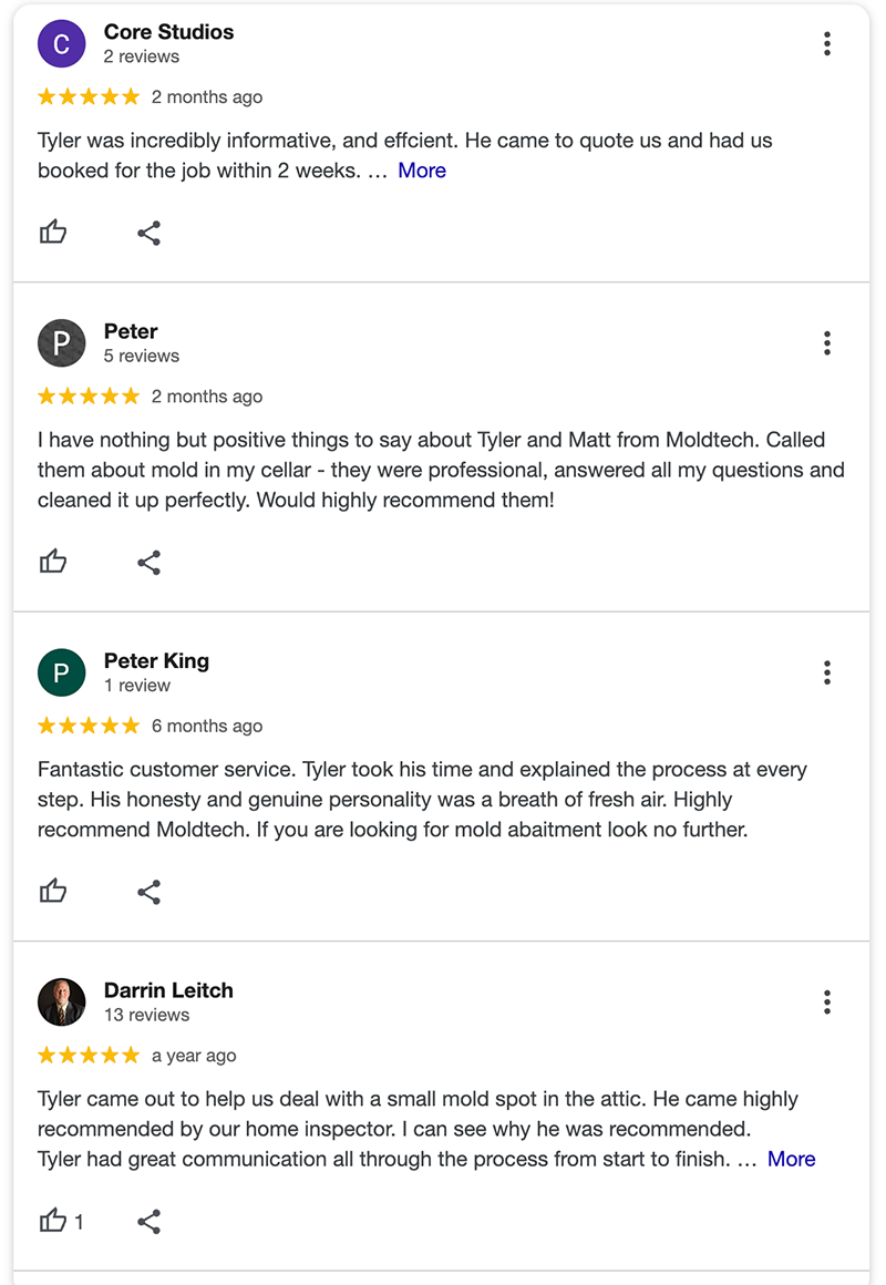 MoldTech Reviews on Homestars